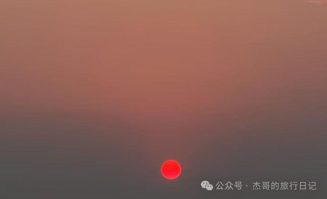 ​淬火砺技 智汇湾区